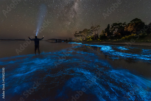 Bioluminescence Selfie under the Milky Way