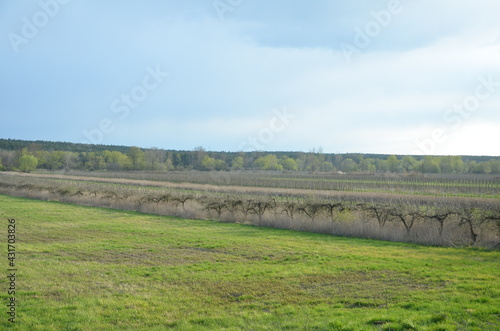 Stalowa Wola , Stalówka , Stalowa Wola ,krajobraz, niebo, pola, gras, charakter, hayfield, zieleń, countryside, chmura, blękit, kraj, rolnictwa, lato, obszarów wiejskich, chmura, górka, kraina, farma,