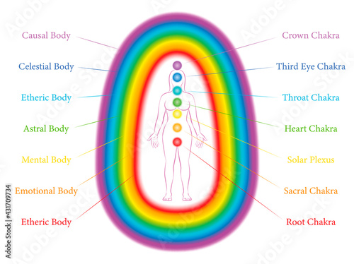 Seven main chakras and corresponding aura layers of a standing woman. Etheric, emotional, mental, astral, celestial and causal layer. Labeled vector illustration chart. 