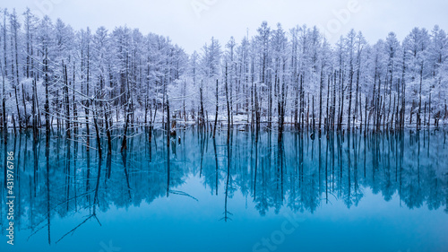 美瑛 青い池 なごり雪