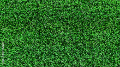 Green grass texture background field area It is a grass that looks short, cut evenly, making it suitable for wallpapering in design. And graphics