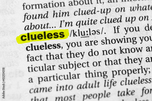 Highlighted word clueless concept and meaning