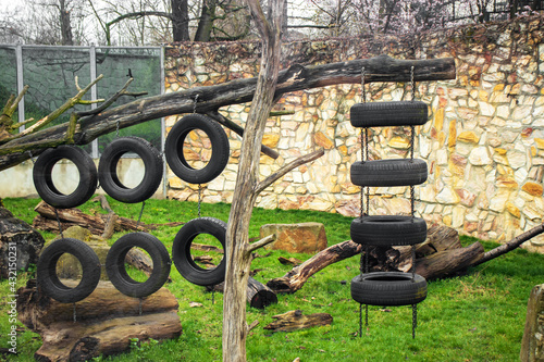 Car tires hanging on a tree, swings, animal entertainment