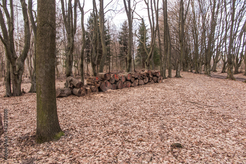 A camping site in the park near the church of St. Piotr and Paweł on the Bug River in Świerzach in eastern Poland,