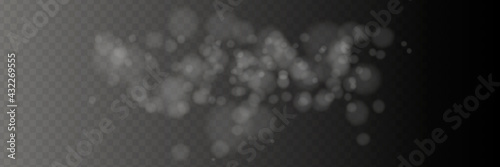 Bokeh lights isolated. Transparent blurred shapes. Abstract light effect. Vector illustration.