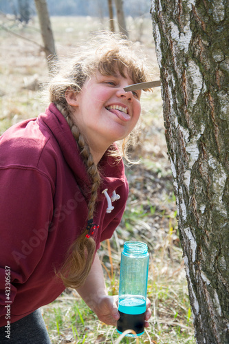 In the spring afternoon, in the forest, a girl collects birch sap and tries to catch droplets of sap.