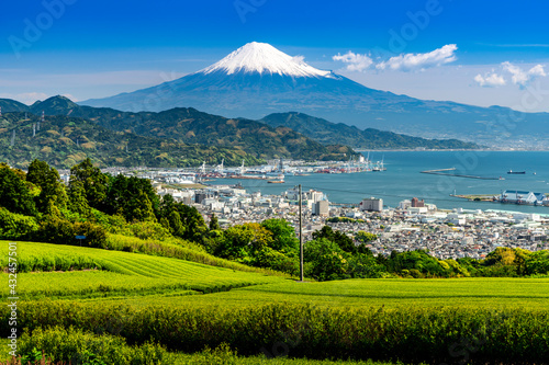 Japanese green tea plantations from Nihondaira and mt. fuji over sea. 