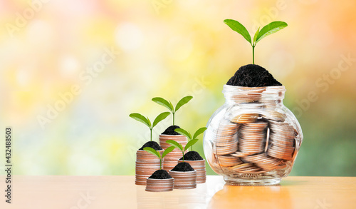 ideas growing money, creative business finance saving money investment, plant growth coin stack saving money successful for future concept, business growth coin money finance investment conceptual.