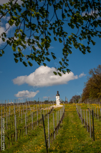 Winnica Bielany pomnik św. Marcina