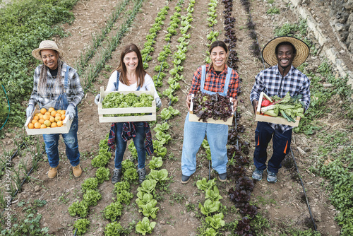 Multi generational farmer team holding wood boxes with fresh organic vegetables - Focus on faces