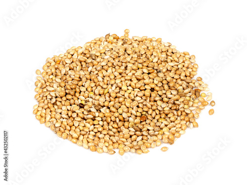 pile of yellow proso millet seeds closeup on white