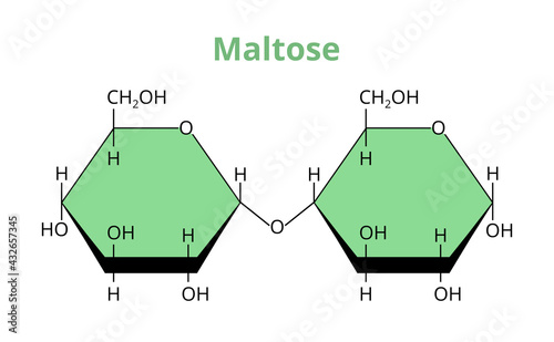 2D vector molecular structure of the disaccharide maltose, malt sugar, maltobiose. Carbohydrate formed from two units of glucose. The structural formula of this oligosaccharide is isolated on white.