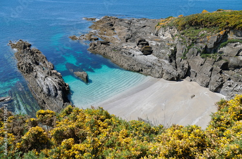 Beautiful secluded beach with gorse in flower in foreground, Galicia, Spain, Atlantic ocean, Pontevedra province, Cangas, Cabo Home