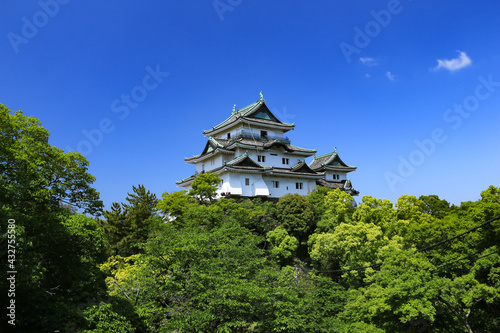 新緑の和歌山城 和歌山県、日本