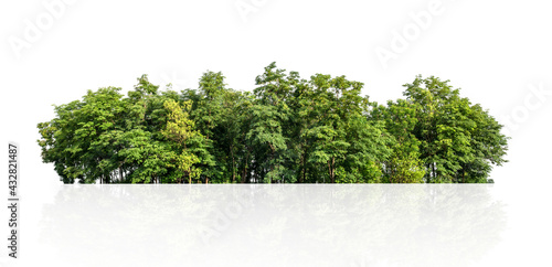 tree line isolate on white background