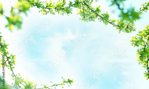 Blue sky floral frame.Spring backdrop. Natural decoration.