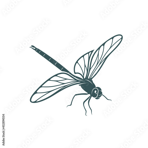 Dragonfly design vector illustration, Creative Dragonfly logo design concept template, symbols icons