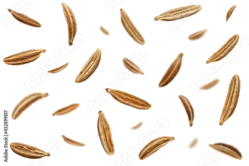 Falling caraway seeds isolated on a white background, top view. Cumin seeds in the air on a white background. Set of cumin seeds in the air. Caraway grains isolated on white background.