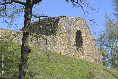 Ruiny królewskiego zamku gotyckiego w Lanckoronie, Małopolska. 
