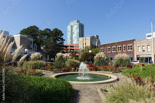 View of Durham, North Carolina from a Downtown Park