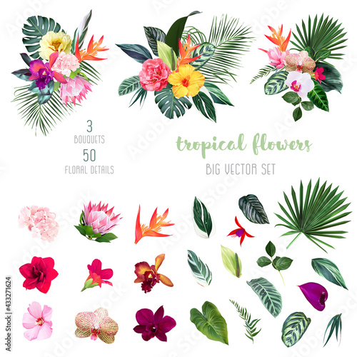 Exotic tropical flowers, orchid, strelitzia, hibiscus, protea, anthurium, palm, monstera