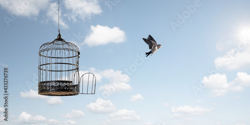 Bird flying to freedom