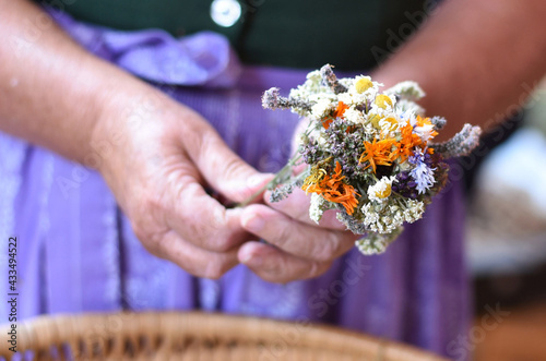 traditionelle Kräuterweihe und Kräuterbuschen Tag Mariä Himmelfahrt (15. August) - traditional herb consecration and herb bush day of the Assumption (August 15).