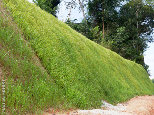 Permanent slope protection with the natural grass using the hydroseed method. The grass used to stabilizes the slope structure and prevent slope erosion. Effective and less maintenance. 