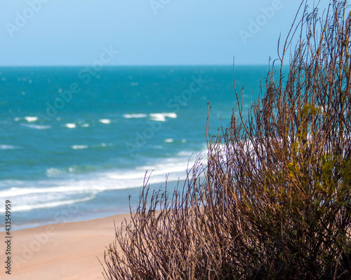 dunes and sea