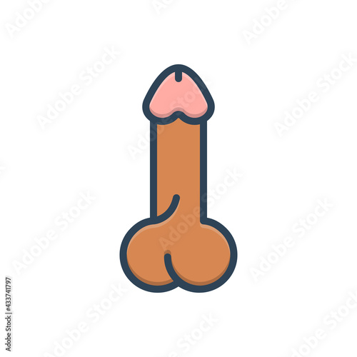 Color illustration icon for penis 