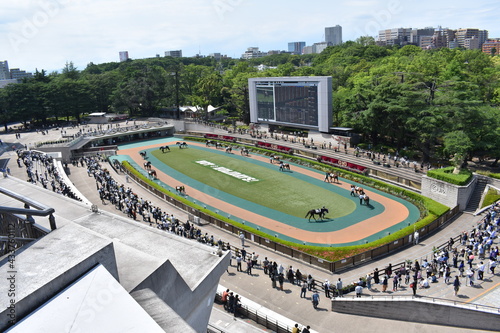 東京競馬場