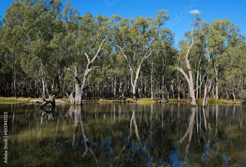 Gogeldrie Weir Scene