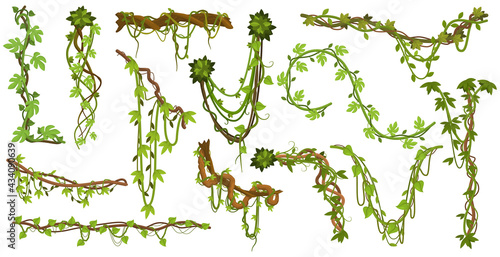 Tropical hanging vines. Jungle liana climbing plants, wild rainforest vines branches with leaves isolated vector illustration set. Liana exotic branches