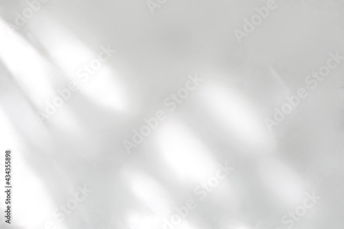 Abstract shadow of leaves on a white wall, overlay effect for photo, mock up, product, wall art, design presentation