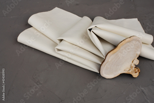 White mushroom and eco friendly mushroom leather. Bio Vegan leather from mushroom mycelium - sustainable alternative to animal skin. Mushroom textile innovative materials