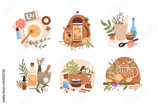 Homeopathy and herbal remedies set. Homeopathic treatment and phytotherapy concept. Traditional herb recipes of alternative medicine. Flat graphic vector illustration isolated on white background