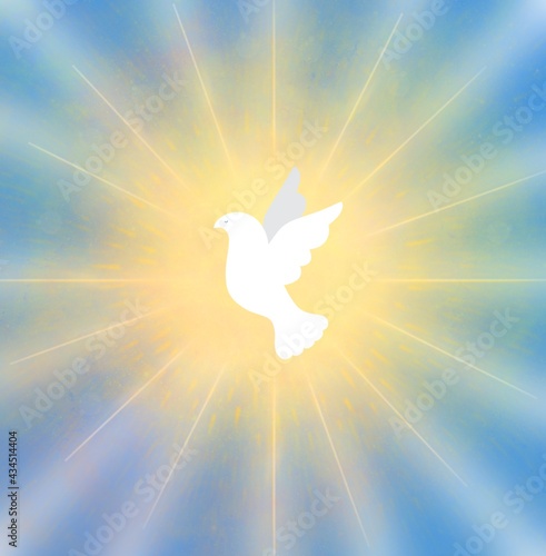 Banner sfondo quadrato azzurro colomba pasquale bianca nel cielo. Pasqua. Annunciazione. Pentecoste. Natale. Battesimo. Paradiso. Luce sole dorato raggiante