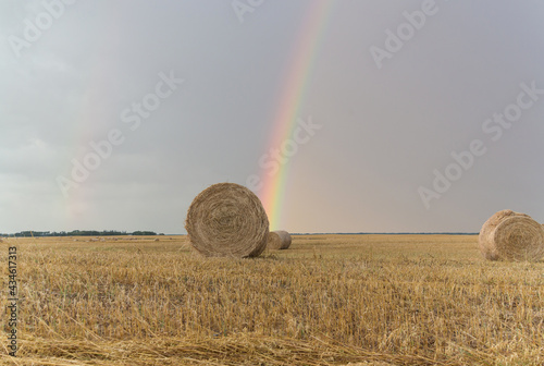 hale bay in a hay field with a rainbow in the sky