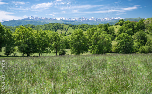 Landscape of south west france with the Pyrenees mountains
