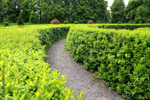 Beautiful view of green hedge maze on sunny day