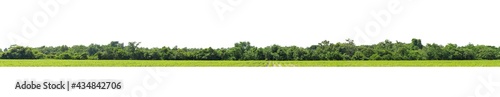  Panorama View of a High definition Treeline isolated on a white background.