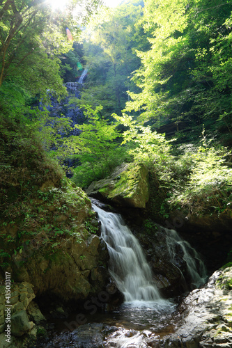 涼やかな白猪の滝 愛媛県東温市