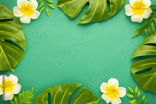 Summer background with tropical frangipani flowers and green tropical palm leaves on green background. Flat lay, top view. Summer party backdrop