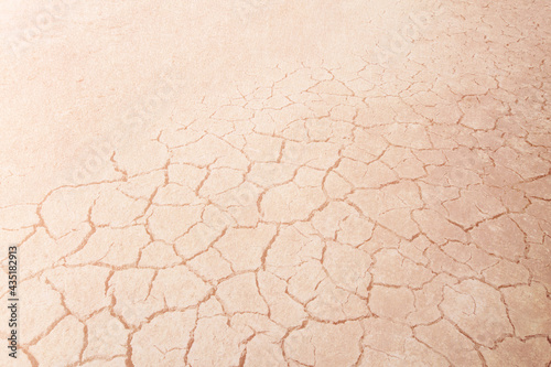 Close-up on dry woman skin texture with dry dessert. Skin care concept.