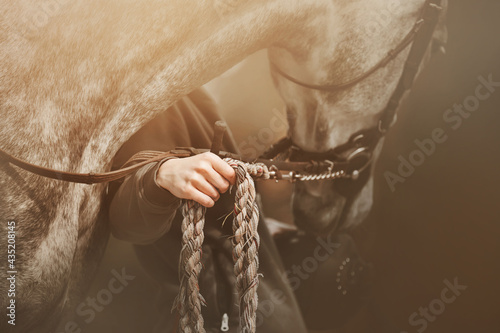 A young woman in a gray hoodie is holding a gray dapple horse by a thick rope, standing next to her. And she also has a sports whip in her hands. The horse is a friend of human.