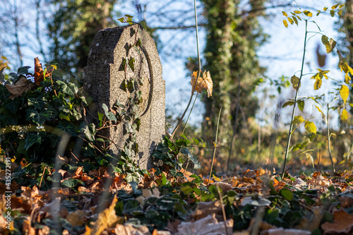 Stare groby, zapomniany cmentarz jesienią