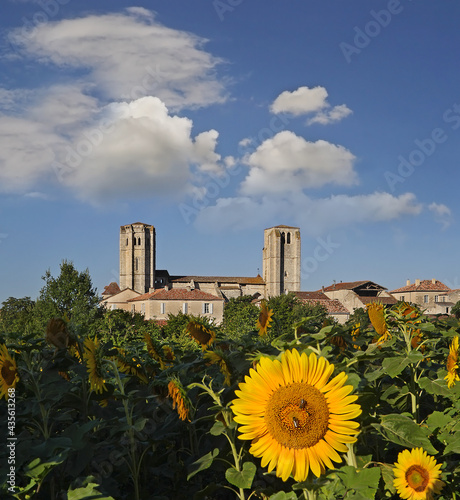 La Romieu is a little village of Gers in Gascony. The collegiate church includes a cloister and two towers. UNESCO - the Pilgrim's Road to Santiago de Compostela, France
