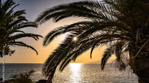 Palmen Karibik Kreta