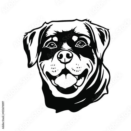 Rottweiler dog Head. Vector illustration