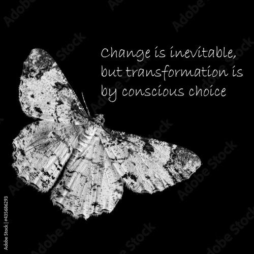 Inspirational motivation quote. Positive message says Change is inevitable but transformation is by conscious choice.